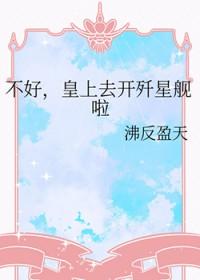 皇上去开歼星舰啦(沸反盈天)