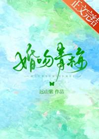 婚吻青梅 远山紫 笔趣阁