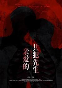 亲爱的共犯先生讲的什么