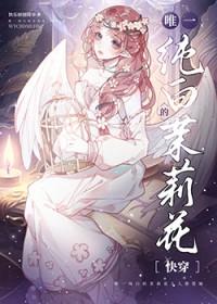 永远纯白的茉莉花