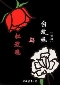红玫瑰与白玫瑰什么意思