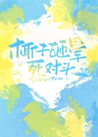 椰子树叶砸晕男子