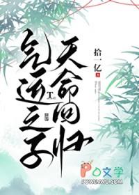气运之子之争什么