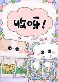 变猫后我掉了四层马甲百度