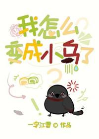 刀剑乱舞官服是哪个