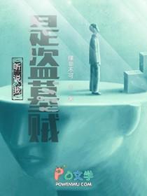 我是个盗墓贼高寿