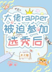 大佬rapper被迫参加选秀后作者禾又柚
