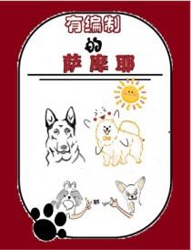 萨摩耶可以做什么工作