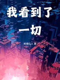 我看到了一切百科