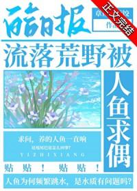 流落在荒岛