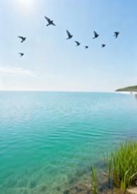 归去来兮歌曲在线试听