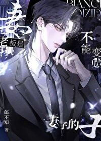 为什么老板用自己老婆当法人