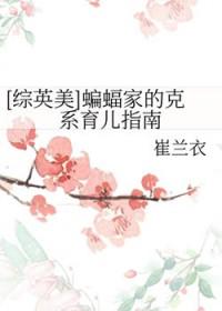 综英美蝙蝠家攻略日记