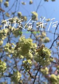 两校合并后党组织选举