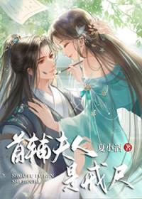 首辅夫人是戒尺类别穿越作者 夏小酒