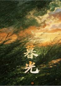 暮光系列书是什么书