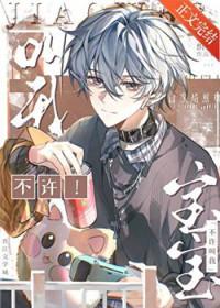 不许叫我宝宝 作者织墨