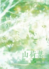 山荷叶花盛开