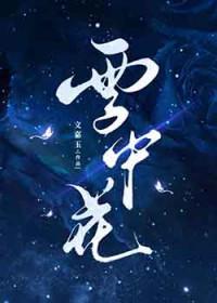 雪中花瓣图片
