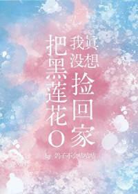我真没想把黑莲花o捡回家TXT免费