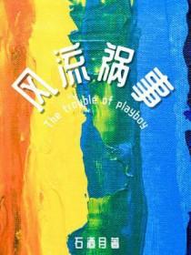 风流祸事讲的什么