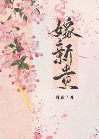 嫁新贵by羽甜番外