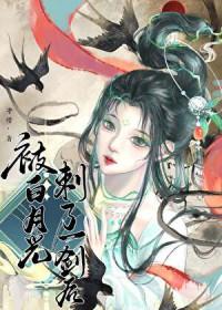 被白月光刺了一剑后守惜