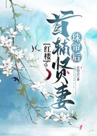 红楼首辅贤妻珠帘后爱初会