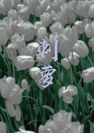 刺萝卜的功能和功效与作用