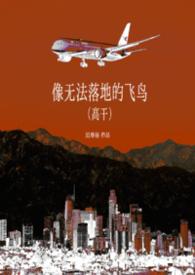 无法飞翔的鸟儿