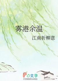 雾港是什么意思