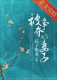 被争夺的妻子南玫百度